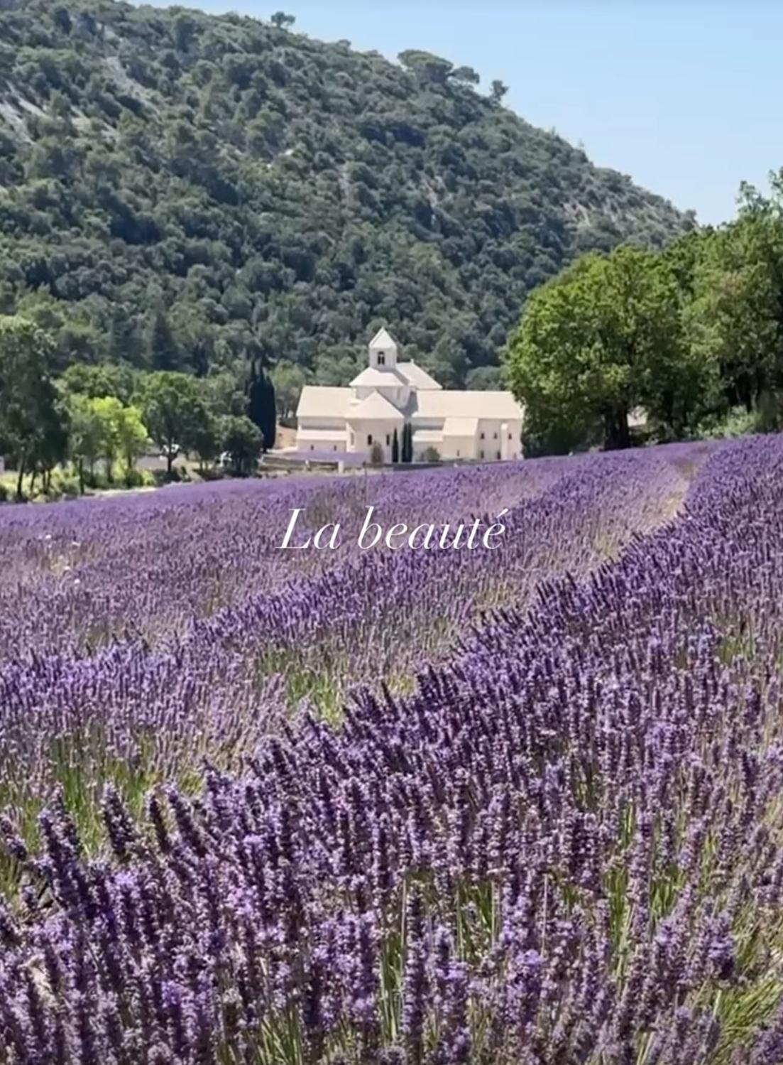 jacquemus beauté