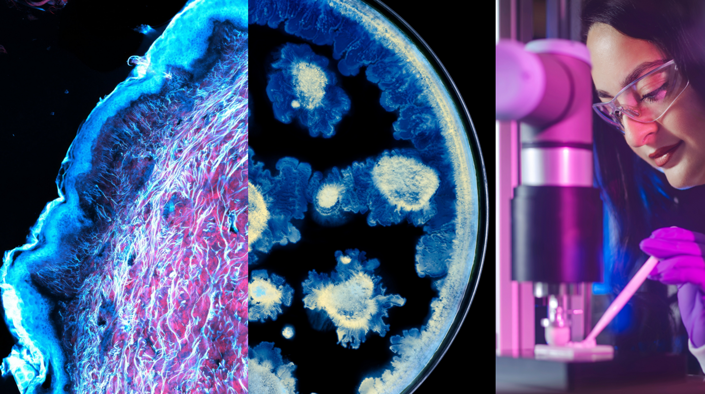 alliance scientifique l'oreal et institut pasteur autour de la recherche sur la peau