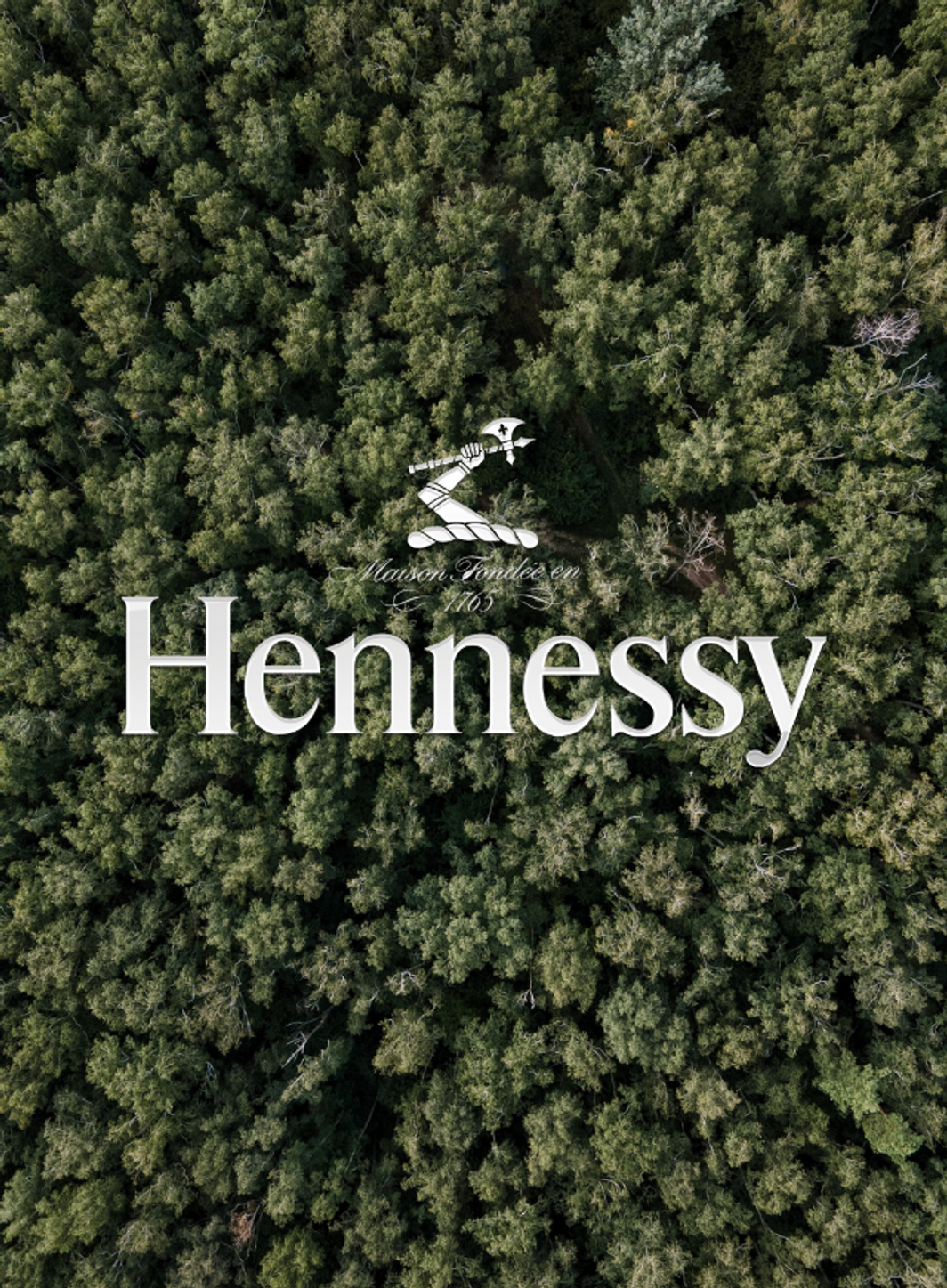 Hennessy lance son programme en faveur de la reforestation.