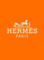 Sacs Birkin : Hermès fait face à un recours collectif aux Etats-Unis.
