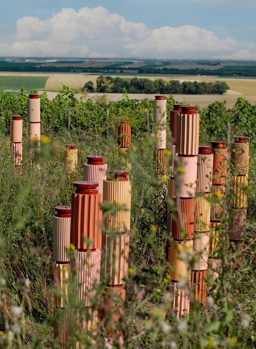 Champagne : avec Formafantasma, Perrier-Jouët célèbre le vivant