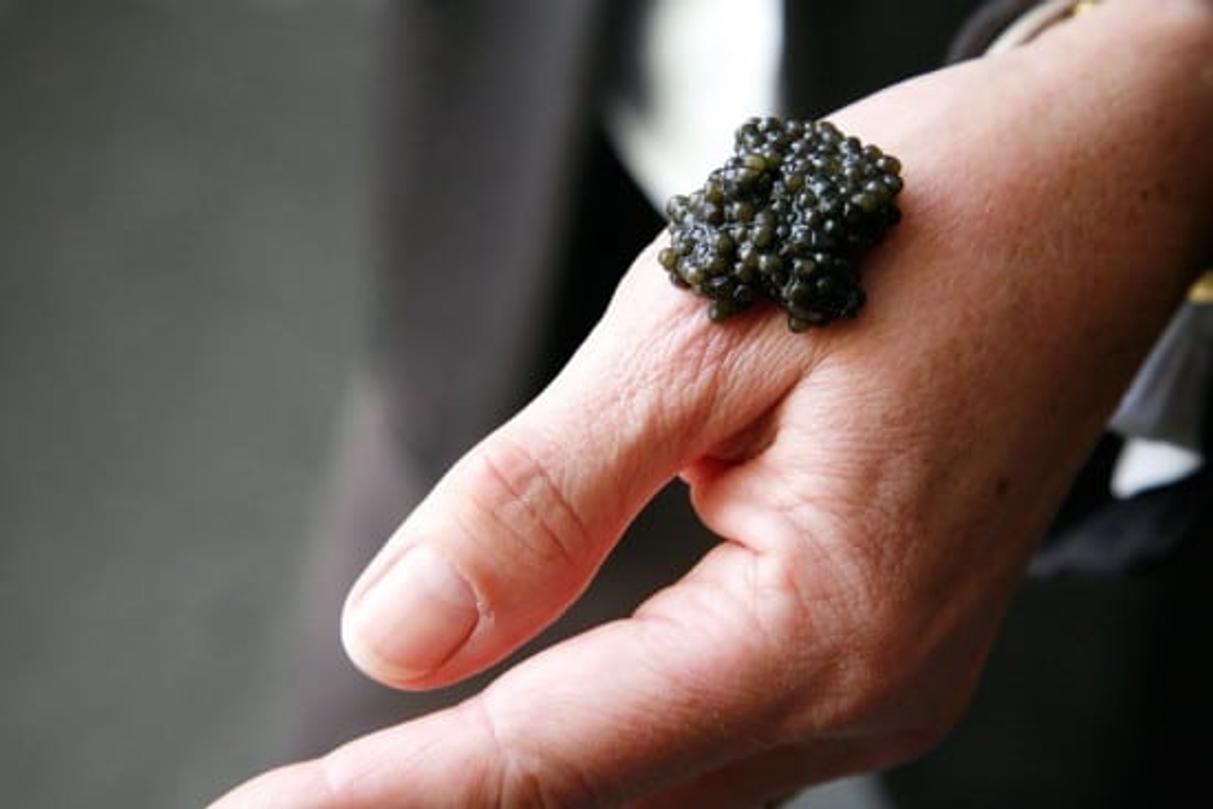 comment manger caviar
