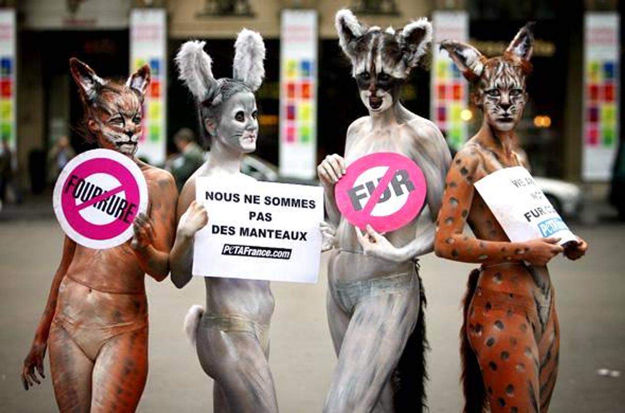 peta manifestations