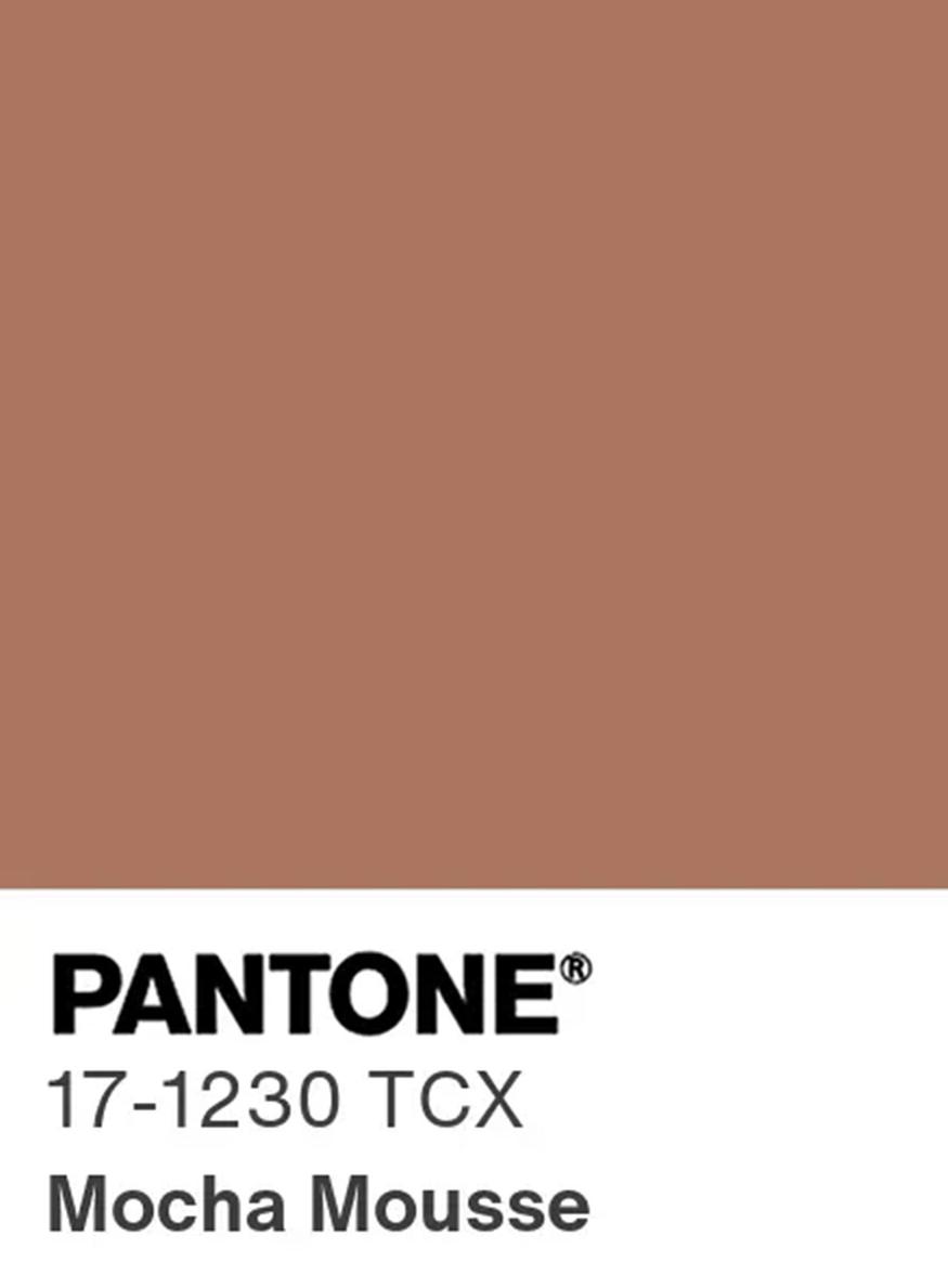 quelle est la couleur de l'année 2025 ? Pantone